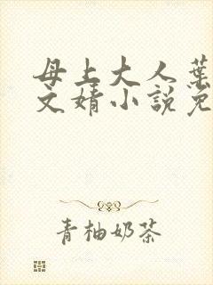 母上大人叶亦苏文婧小说免费阅读