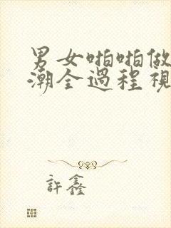 男女啪啪做爰高潮全过程视频