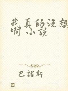 我真的没想出名啊 小说