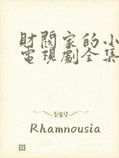 财阀家的小儿子电视剧全集