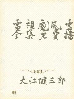 电视剧风云年代全集免费播放