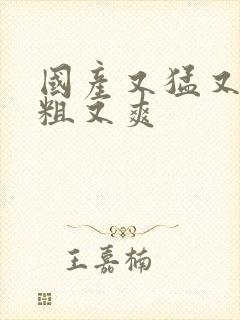 国产又猛又黄又粗又爽