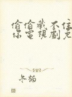 偷偷藏不住只许你电视剧免费观看