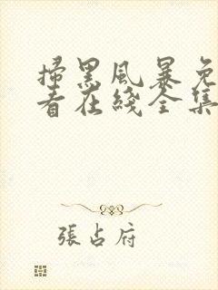 扫黑风暴免费观看在线全集