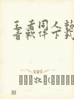 王者同人动漫观看软件下载