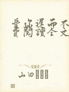 爱你迟而不晚免费阅读全文