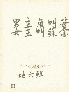 男主角叫萧寒,女主叫苏念