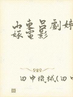 山东吕剧姊妹易嫁电影