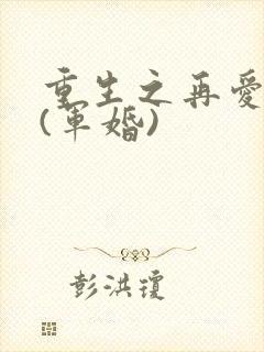 重生之再爱一次(军婚)