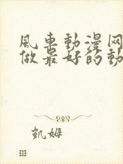 风车动漫网专注做最好的动漫门户网站封面