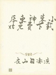 辰东神墓小说txt免费下载封面