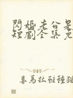 闪婚老公是豪门短剧全集免费观看