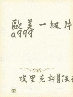欧美一级片内射a999