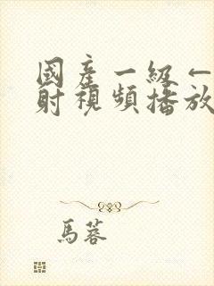 国产一级←片内射视频播放……