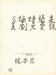 《梅特兰夫人》美剧免费观看