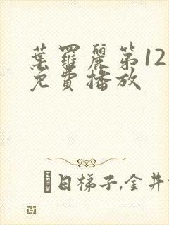 叶罗丽第12季免费播放