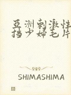 亚洲刺激性无遮挡少妇毛片