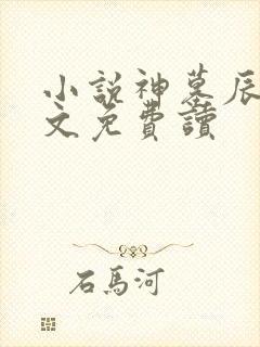 小说神墓辰东全文免费读