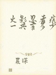 火影忍者疾风传一共有多少集