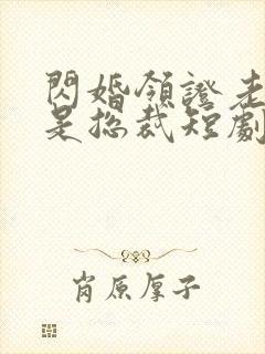 闪婚领证老公竟是总裁短剧