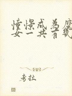 憧憬成为魔法少女一共有几季