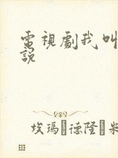 电视剧我叫刘传说