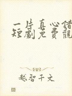 一片真心错付君短剧免费观看封面