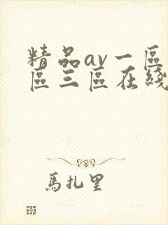 精品av一区二区三区在线