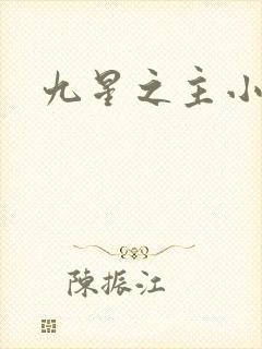 九星之主小说