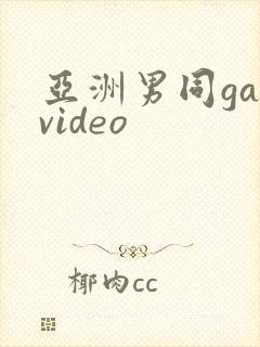 亚洲男同gayvideo封面