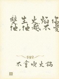 双生火焰你越爱他,他越不爱你