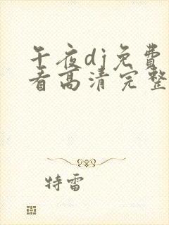 午夜dj免费观看高清完整版封面