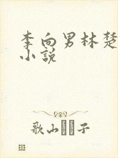 李向男林楚乔的小说封面
