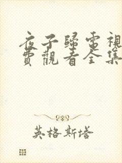 夜子归电视剧免费观看全集高清