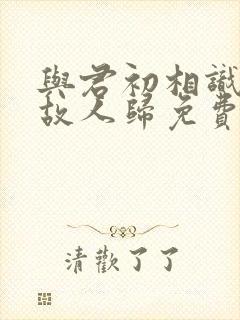 与君初相识恰似故人归免费观看完整版