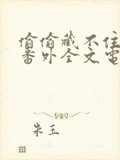 偷偷藏不住新婚番外全文电视剧