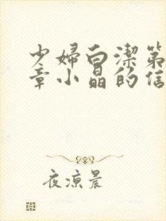 少妇白洁第十七章小晶的信