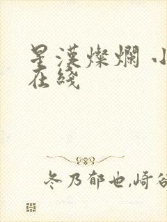 星汉灿烂 小说在线