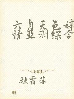 六月天色婷婷激情亚洲综合