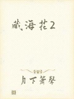 藏海花2封面