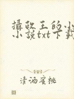 摄政王的小闲妻小说txt下载