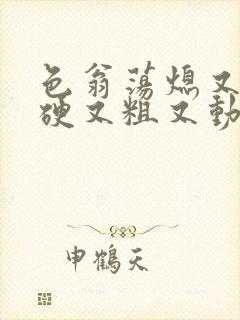 色翁荡熄又大又硬又粗又动态图