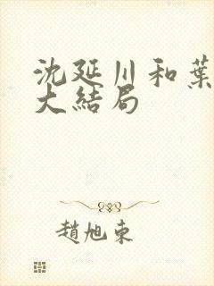 沈延川和叶初棠大结局