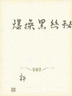 爆操黑丝秘书封面
