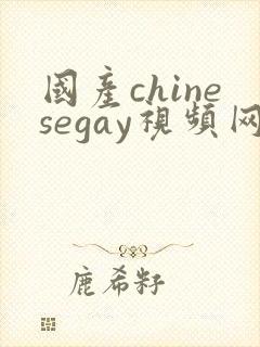 国产chinesegay视频网站封面
