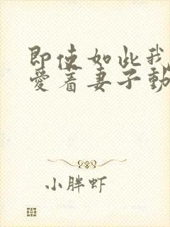 即使如此我还是爱着妻子动漫第一季封面