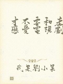 才不要和老板谈恋爱电视剧下载