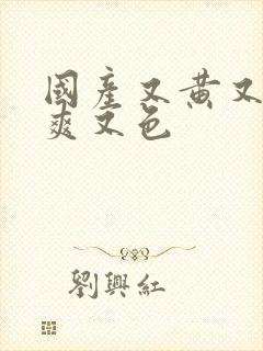 国产又黄又潮又爽又色