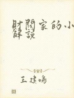 财阀家的小儿子解说