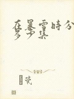 在暴雪时分共有多少集